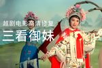 三看御妹刘金定 全集下载