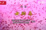 女驸马 全集下载