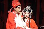 桃花扇 全集下载
