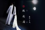 桃花扇 全集