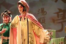昆曲牡丹亭游园惊梦刘煜费城演出