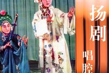 扬剧堆字大陆板名家唱段合集