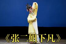花鼓戏张二姐下凡仙女思凡情劫下载