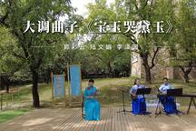 大调曲子《宝玉哭黛玉》 片段