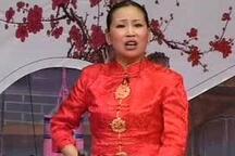 河南坠子马踏洛阳胡中花全集