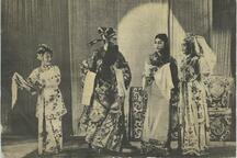 对金刀 片段
