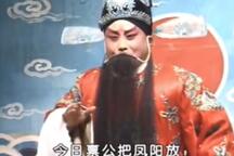 豫剧狸猫换太子续集 洪先礼等名家演绎