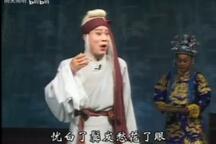 豫剧狸猫换太子刘忠河王凤银8部
