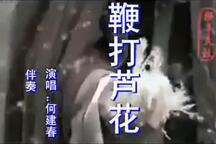 鞭打芦花 全场下载