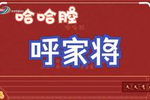 呼家将 全场