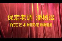 潘杨讼 片段