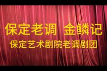 金鳞记 直播剪辑下载