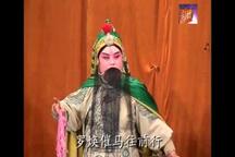 河北丝弦对花枪全场戏经典欣赏下载