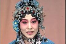 评剧穆桂英挂帅宫静2部全场