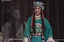 狸猫换太子 全剧