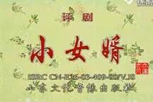 小女婿 全剧
