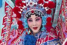 河北梆子穆桂英挂帅王洪玲王英会全剧像音像