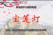 宝莲灯