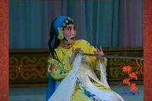 河北梆子《翠屏山》捉证 片段（夺梅版）下载