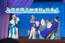 河北梆子蝴蝶杯 投县 全场下载