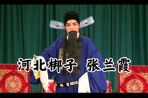 河北梆子赵派张兰霞经典唱段赏析下载