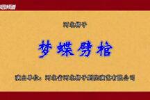 梦蝶劈棺 全场下载