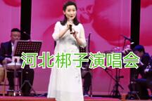 河北梆子演唱会 全场下载