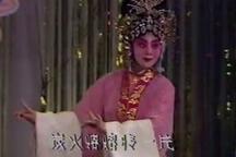 吴汉杀妻 地区团经典剧目展播下载