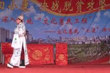 蝴蝶杯 全剧下载