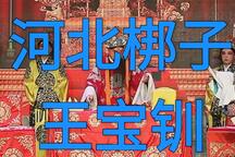 王宝钏下载