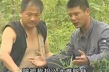 沂蒙小调 大辫子甩三甩第二部 第3集