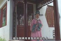 孟丽君 第08集