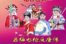 五梅七枪反唐传 罗家将琴书全本下载