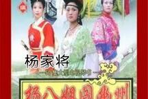 杨八姐闯幽州杨六郎盗尸琴书全50集下载