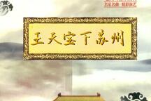 琴书王天宝下苏州张栋宝8部全场下载