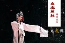 山东地方戏茂腔柳腔五音戏柳琴戏扽腔32部合