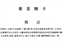 青峰虹霓,赵连岱借闺女下载