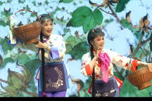 拾棉花