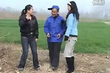民间小调 姐夫赚钱养小姨 下