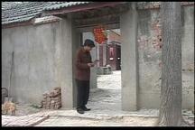 新娘五个月生孩子下载
