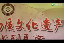 濒危剧种西调秧歌经典剧目合集 16部下载