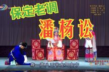 潘杨讼下载