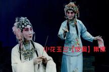 评剧反调集锦小花玉兰七部经典唱段 7部