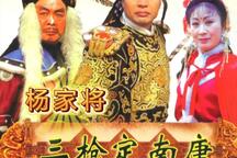 杨家将二三枪定南唐杨继业征南琴书全24集下载
