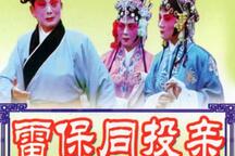 雷宝童投亲琴书高小眼全本 7部下载