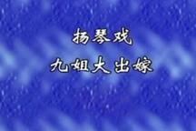 刘墉私访九姐大出嫁琴书全本 8集下载