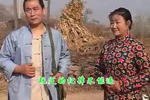 柳琴戏 戏妻