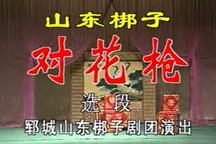 山东梆子对花枪 高清版