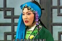 庐剧小鱼网认母胡荣玉盛小五全场 2部
