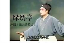 庐剧张天秀私访朱德顺孙晓云10部